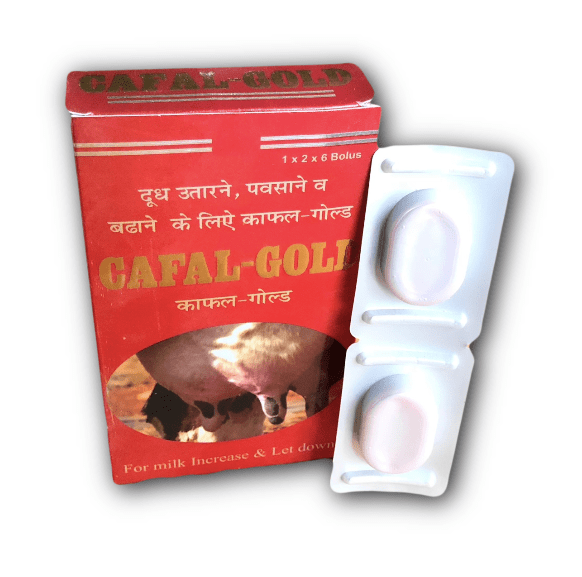 Cafal Gold Bolus